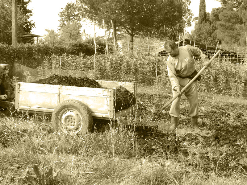 Preparazione del terreno per l'orto